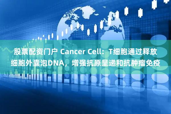 股票配资门户 Cancer Cell：T细胞通过释放细胞外囊泡DNA，增强抗原呈递和抗肿瘤免疫